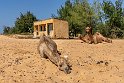 039 Dakar, Senegal